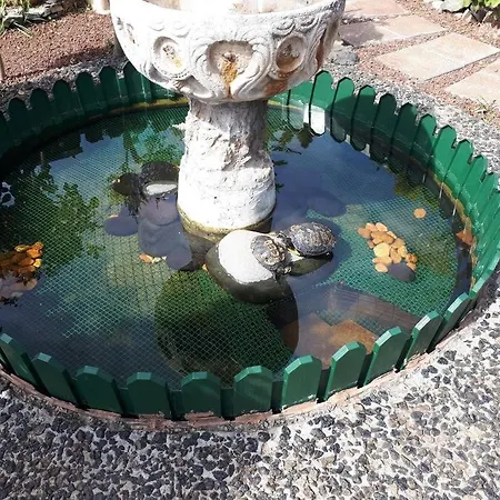 Apartamento Tranquilo En Casa Con Jardín La Laguna (Tenerife)