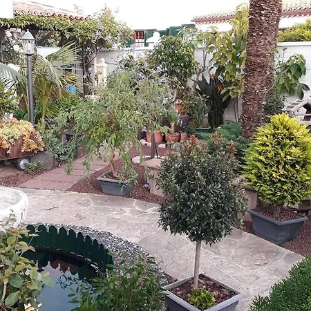 Tranquilo En Casa Con Jardin Appartement La Laguna (Tenerife)