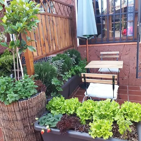 Apartamento Tranquilo En Casa Con Jardín La Laguna (Tenerife)