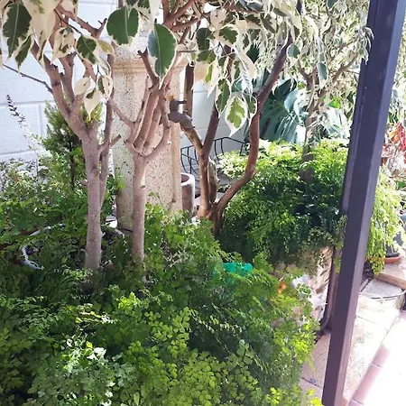 Tranquilo En Casa Con Jardín *