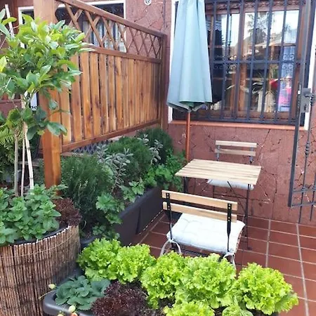 Tranquilo En Casa Con Jardin * La Laguna (Tenerife)